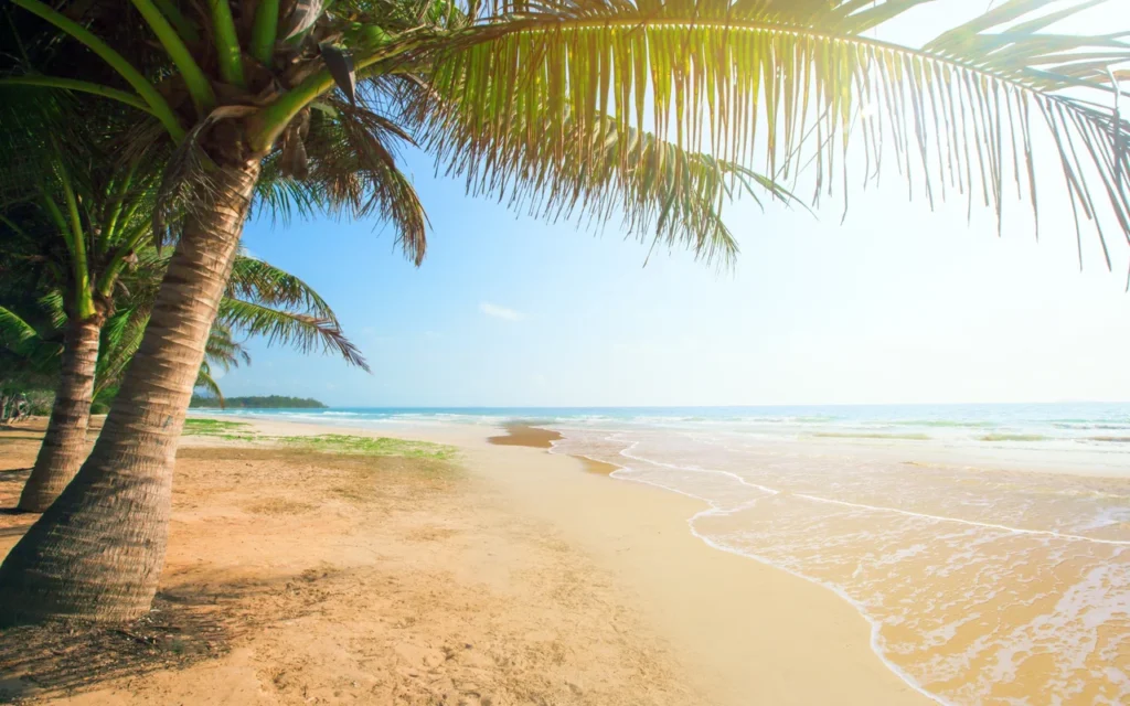 Driftly is a curated coastal lifestyle brand that blends appare